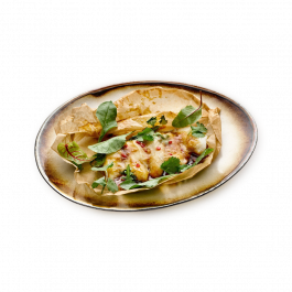 Патагонский клыкач Патагонский клыкач